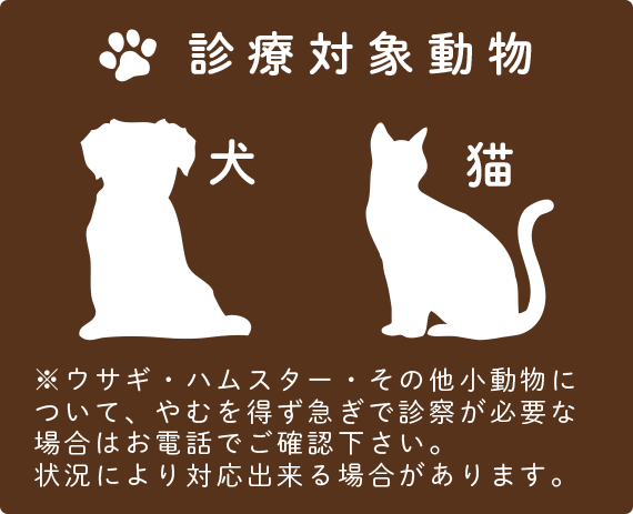 診察案内 | 阿佐ヶ谷・荻窪にある犬猫専門の動物病院【ダリア動物病院】